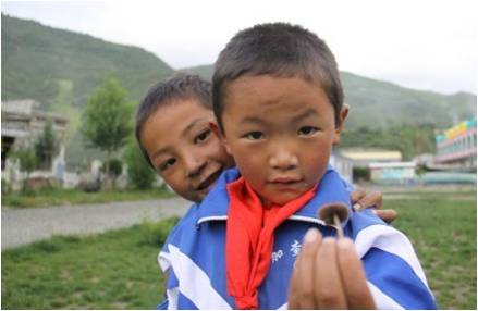 �ɂ��W(xu��)���������(f��)����W(xu��)��֧��꠆T�����_(d��)�Ѻ����f��һֻСĢ�����挦�㌍�ĺ��ӂ���֧��꠆T������ϣ���ǡ��������҂�������҂��������S������