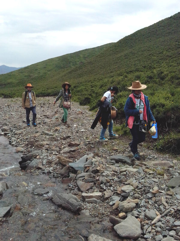 7��22�����m�ݴ�W(xu��)�Gɫ�I(y��ng)�F(tu��n)�(du��)�������c(di��n)����?q��)����{(di��o)�����(du��)�T����(du��)��(d��ng)?sh��)ص��������f�ֲ����݈�(ch��ng)��r������ι�B(y��ng)���h(hu��n)��׃���ȷ����M(j��n)���˴��µ��˽⡣�D���(du��)�T��?c��)ڮ?d��ng)?sh��)��M(j��n)��ֲ����R(sh��)������