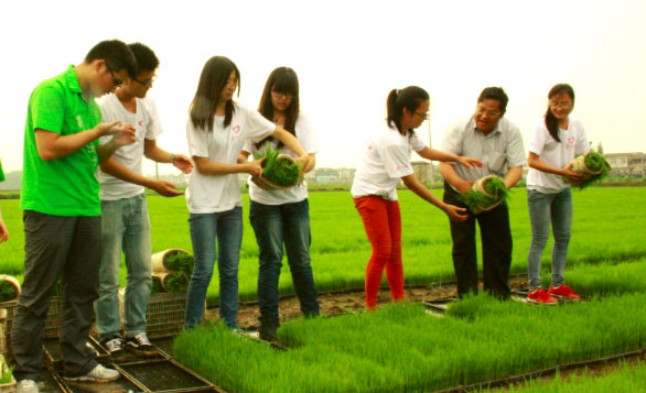 ��ꎎ����W(xu��)Ժ���Gɫ���ۡ����`�־Ը����ˮ�����g�M���w�ʽ������