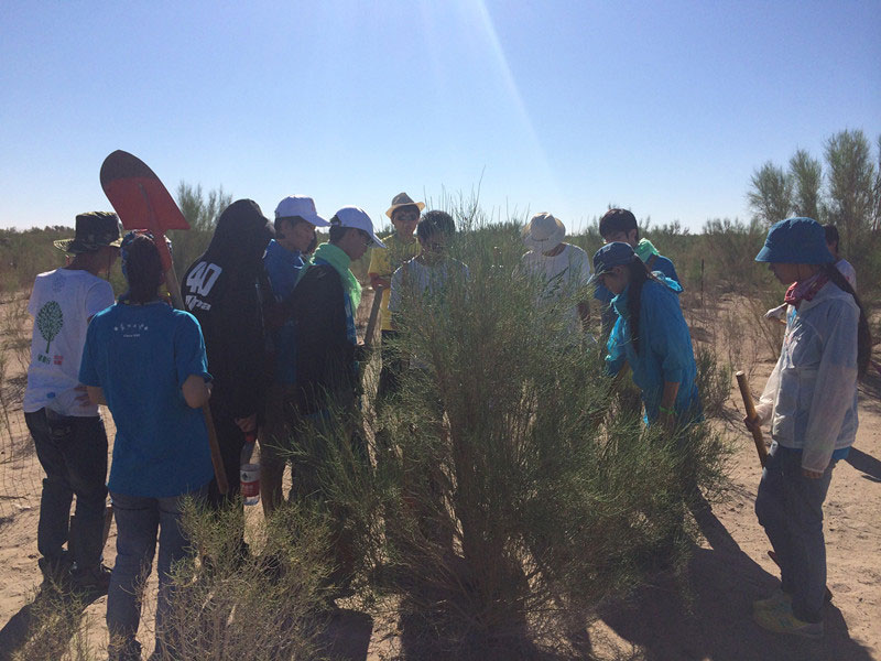 ������Ҫ��һ���ļ��ɺͽ�(j��ng)�(y��n)��ͬ�W(xu��)���_ʼ������һƬ�����ַ��ز����^�m(x��)�����[�ص�����