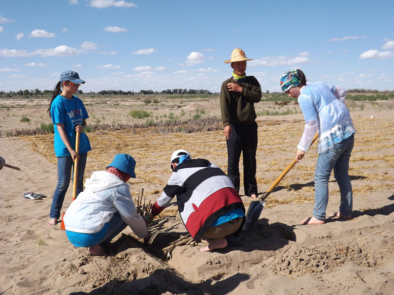 �@�N1.5��Ҋ�������ݸ��ӣ���ɳЧ����������^4��5���͕��L(f��ng)�g��������Ҫ�����a(b��)����