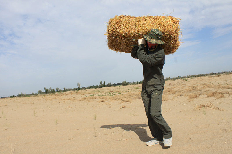 �F(tu��n)�T���i�������������ϳ����ģ����������؟(z��)����