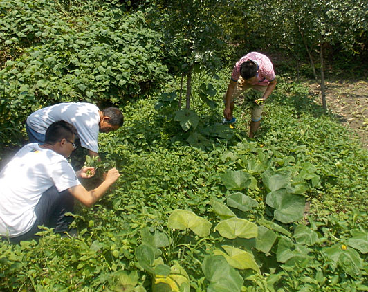 �ڶ��죬꠆T���_ʼ�������B(t��i)�r(n��ng)���w��r(n��ng)�����������ժ����