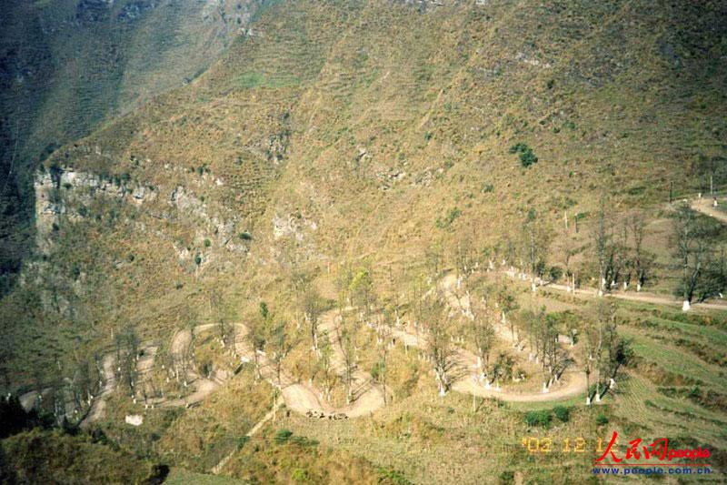 ��¡��24���ա�֮���ꐁ���?j��n)zӰ�� 