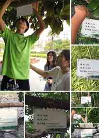 �K���r(n��ng)�W(xu��)Ժ�O(sh��)Ӌ(j��)У�@ֲ����Ƭ�������K�r(n��ng)�Gɫ���}