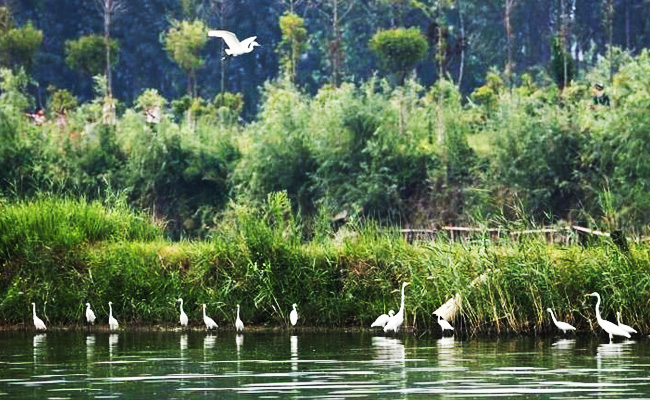 ͯԒ�ϼң���������Ԋ�����Ϙ���f����