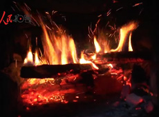 �t��t����~����������ʳ���ρ�