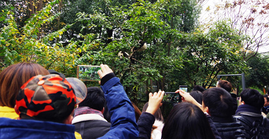 �@�����ӵ������ɶ����W(w��ng)�j(lu��)���ˁ��cٝ