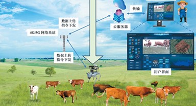 放牧機(jī)器人“慧眼識(shí)?！?/></a></span><a  target=_blank>放牧機(jī)器人“慧眼識(shí)?！?/a></li>
<li><span id=
