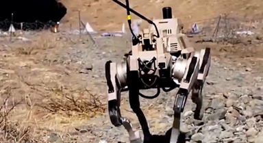 超帥！機(jī)器狗硬核出擊