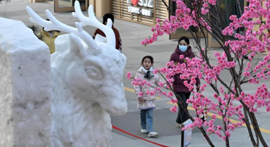 河北石家莊街頭雪雕引市民打卡