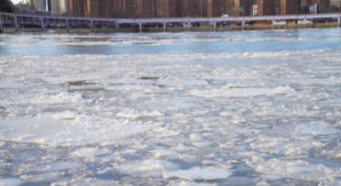 美冬季風(fēng)暴和嚴(yán)寒天氣已致逾百人死亡