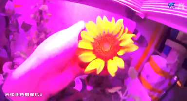 天宮TV︱欣欣向榮，值得期待！