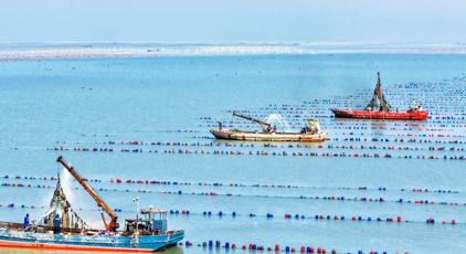 “海洋牧場(chǎng)”春潮涌動(dòng)