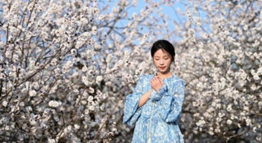 長(zhǎng)安春日繁花開