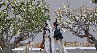 甘肅敦煌：春到大漠